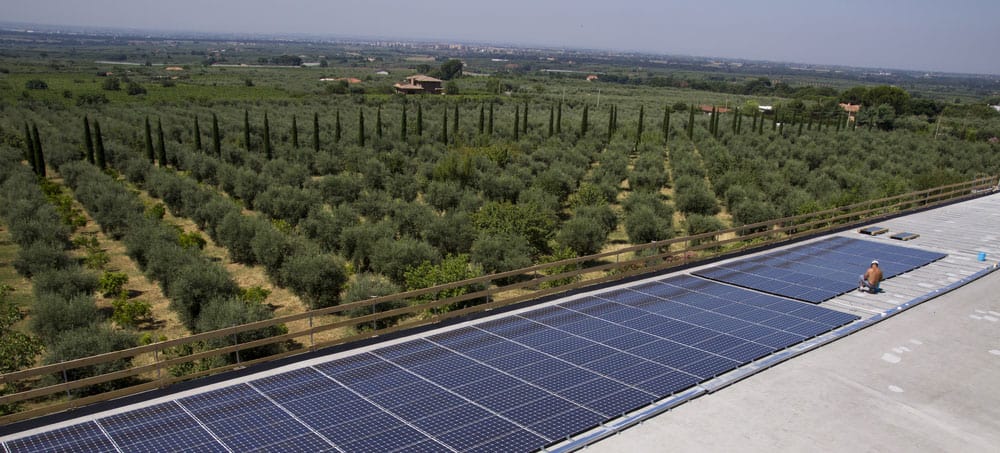 photovoltaic-panels-farm