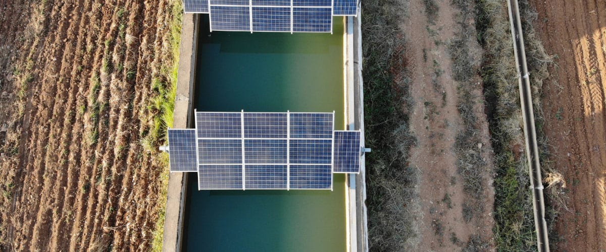 Agricultural solar